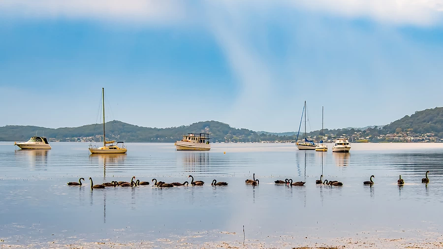 Horsfield Bay